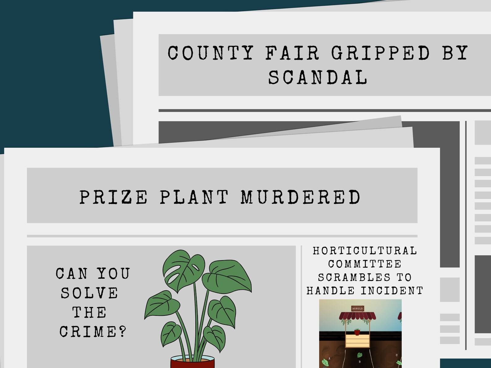 Mystery at County Fair Mystery at County Fair