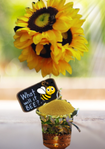 DIY Spring Baby Shower Ideas Gender Neutral