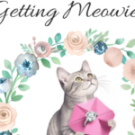Watercolor bridal shower invitation featuring a gray cat surrounded by a floral wreath with the headline “Getting Meowied!”