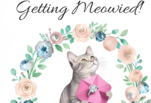 Watercolor bridal shower invitation featuring a gray cat surrounded by a floral wreath with the headline “Getting Meowied!”