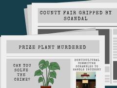 Mystery at County Fair